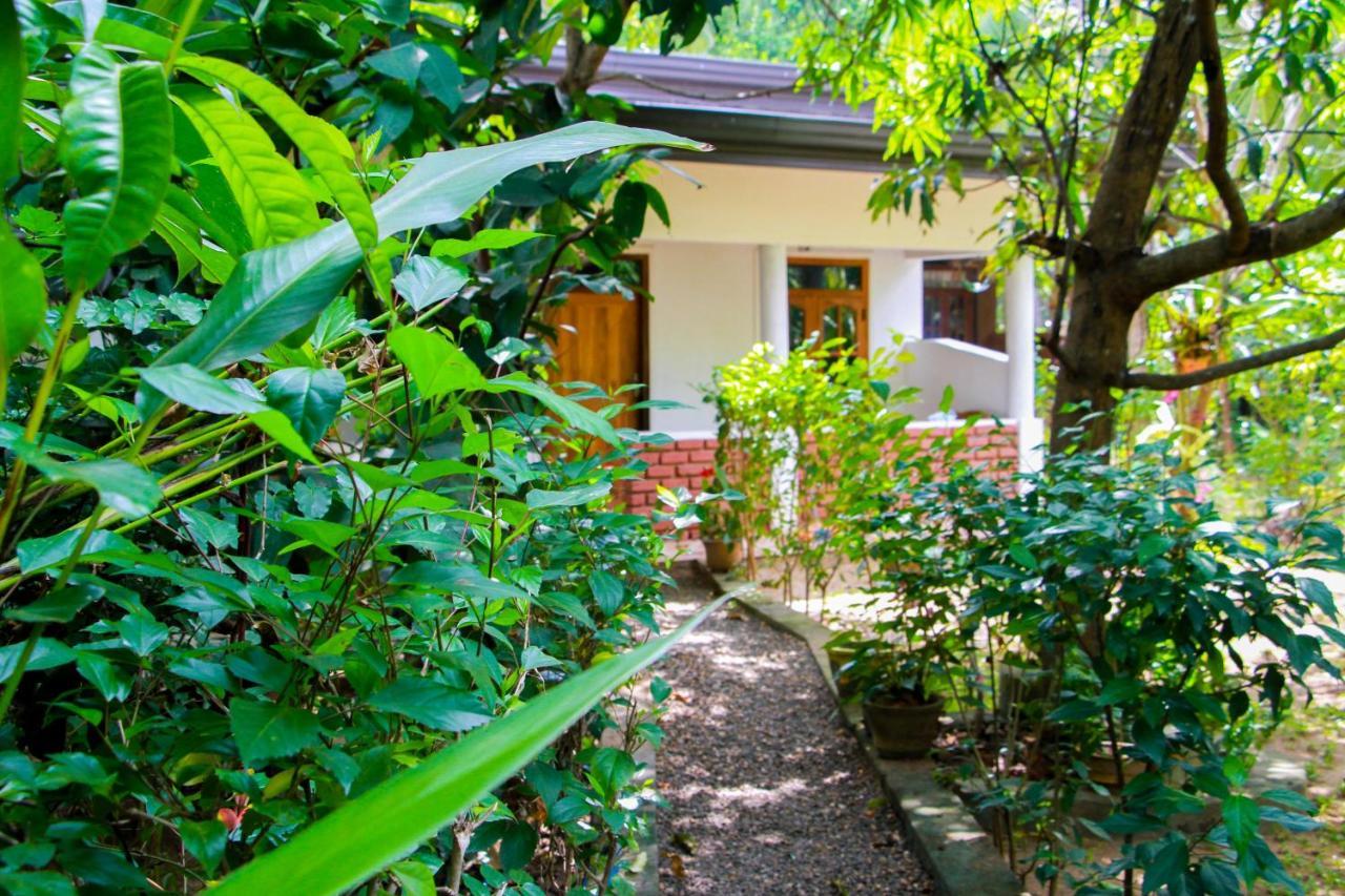 Galaxy View Homestay Sigiriya Esterno foto