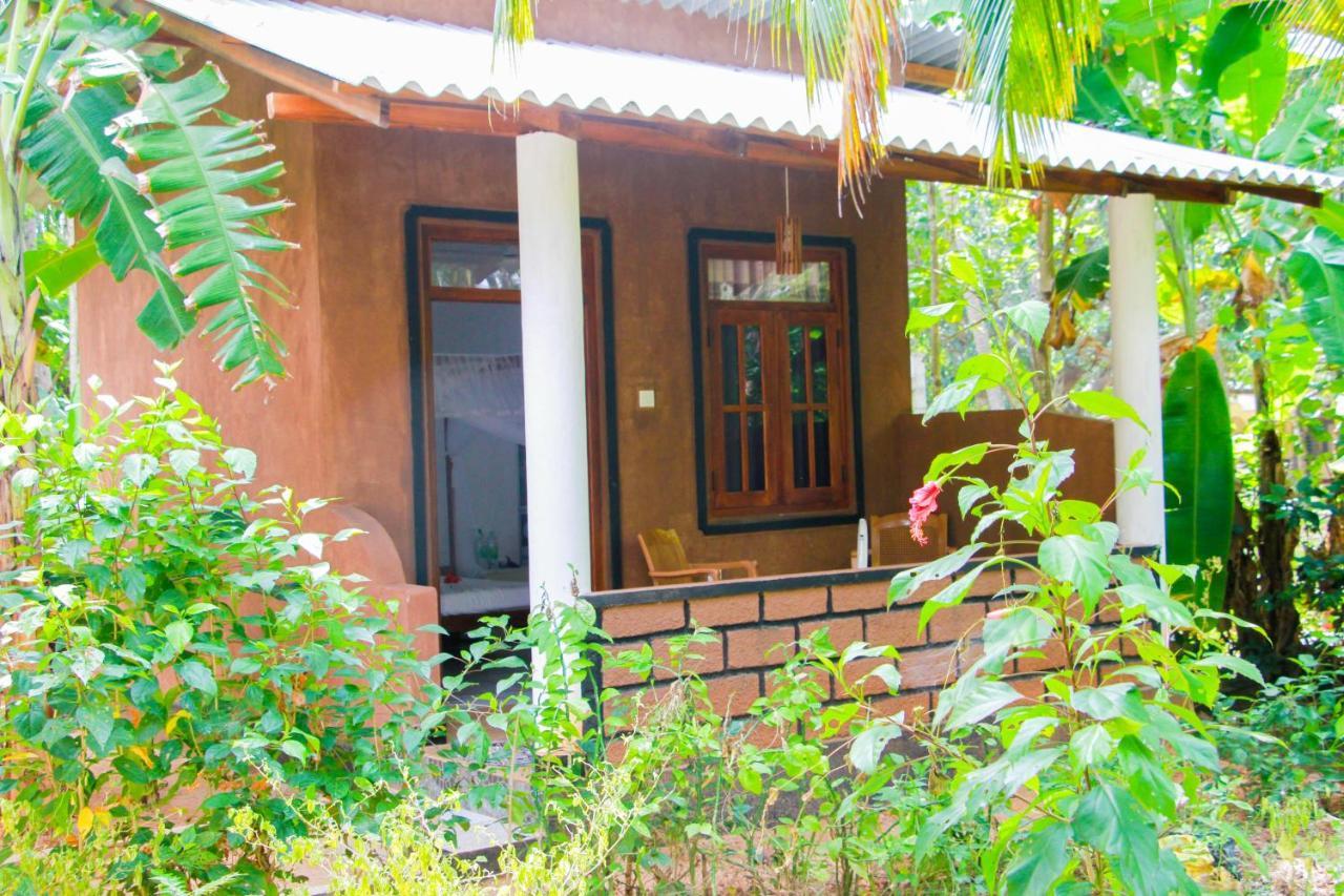 Galaxy View Homestay Sigiriya Esterno foto
