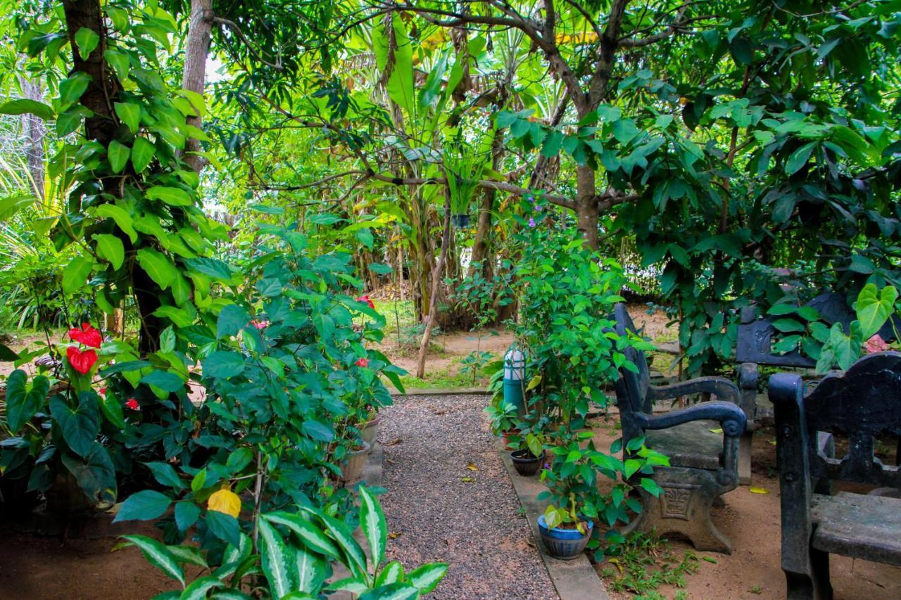 Galaxy View Homestay Sigiriya Esterno foto