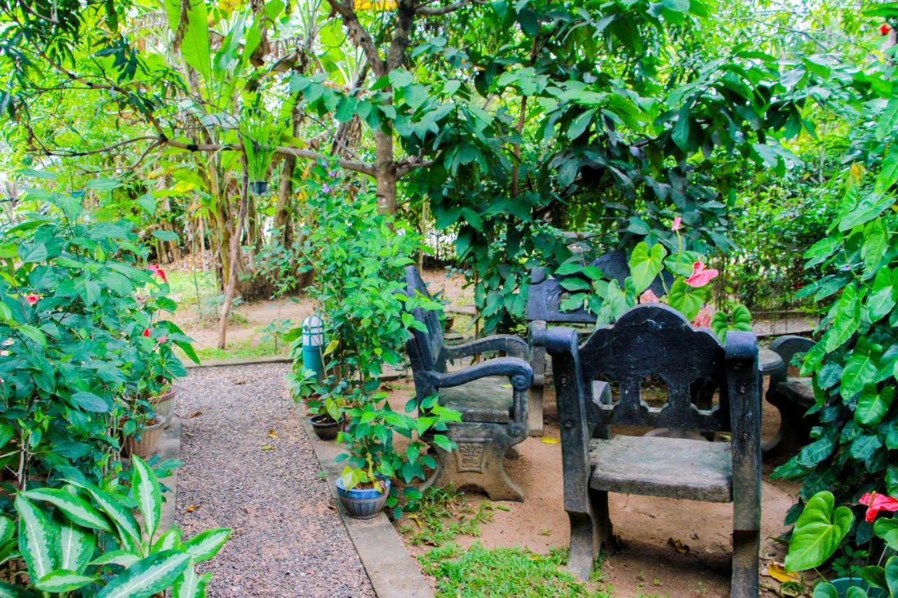 Galaxy View Homestay Sigiriya Esterno foto